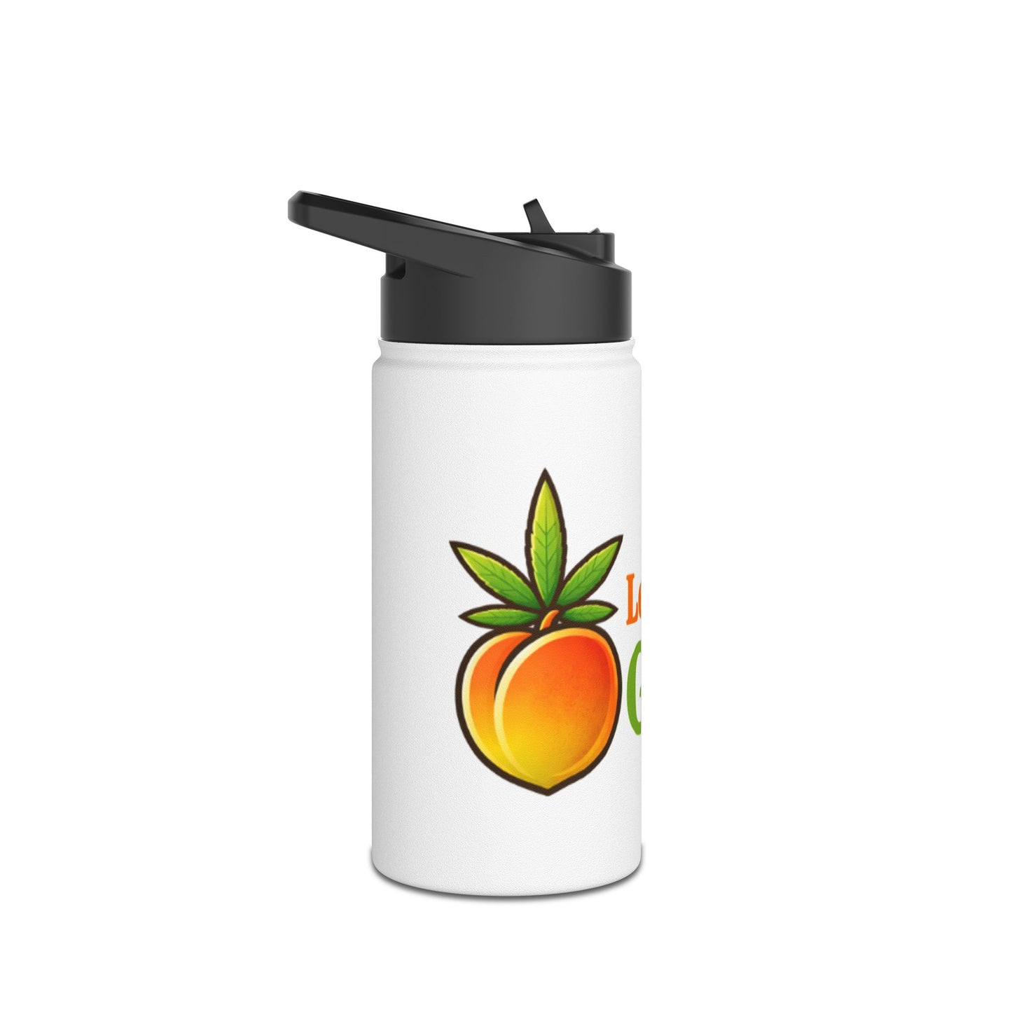 Stainless Steel Water Bottle