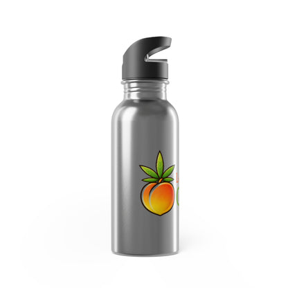 Stainless Steel Water Bottle with Straw, 20oz