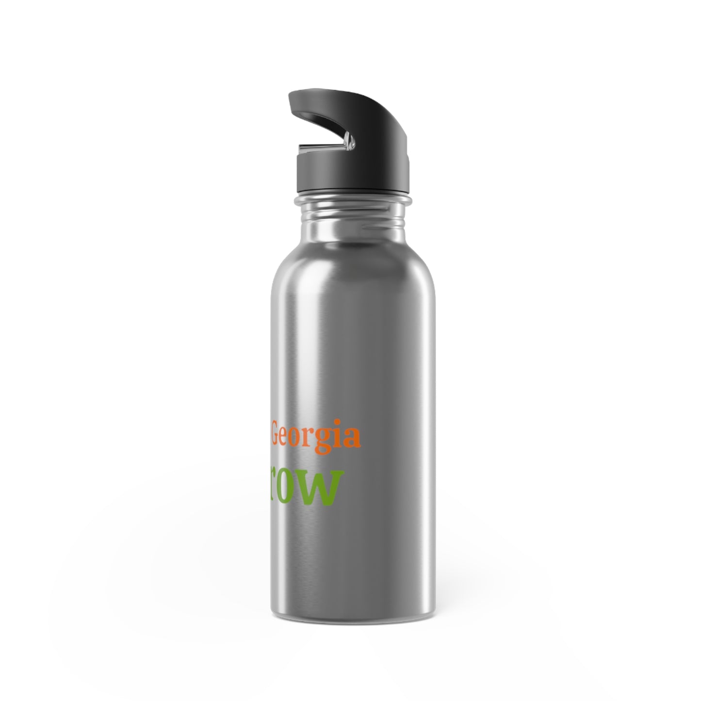 Stainless Steel Water Bottle with Straw, 20oz