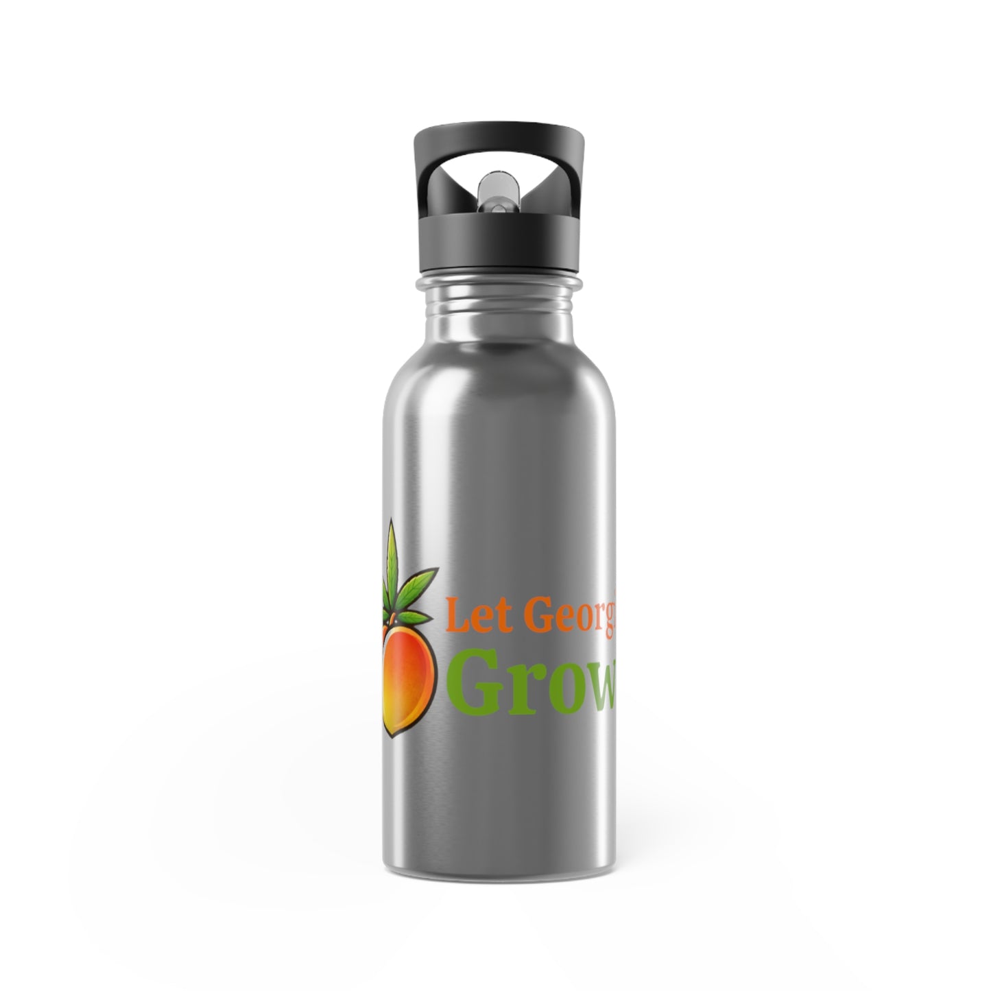 Stainless Steel Water Bottle with Straw, 20oz