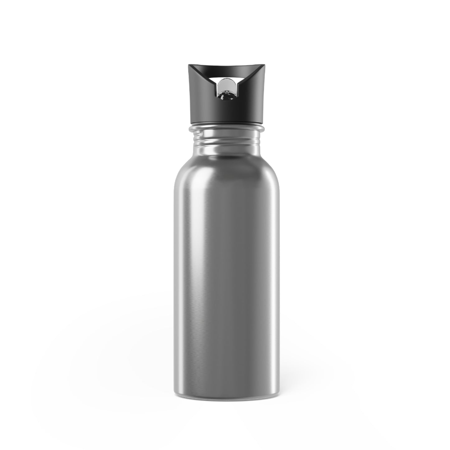 Stainless Steel Water Bottle with Straw, 20oz