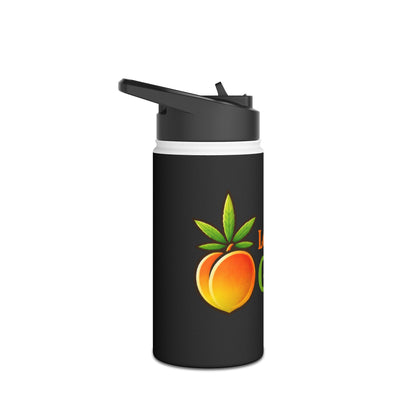 Stainless Steel Water Bottle – Standard Lid